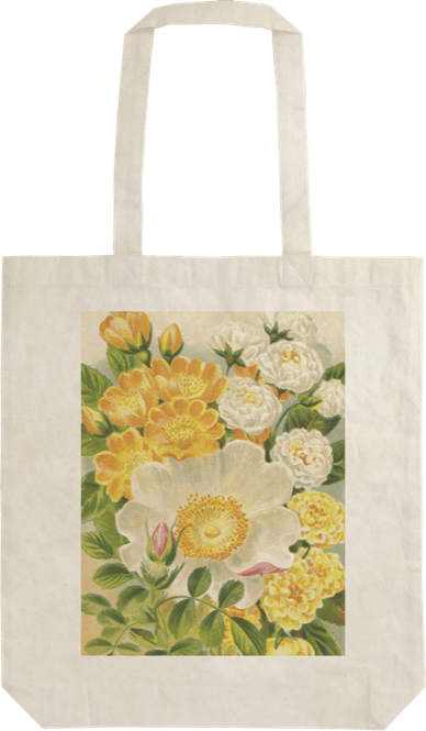 Hovedbilde Handlenett-