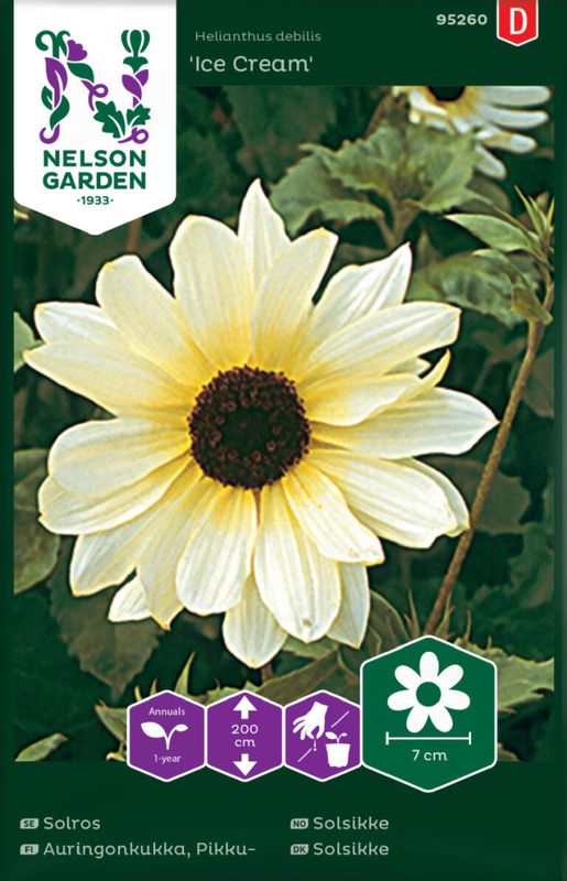 Solsikke 'Ice Cream' 50%