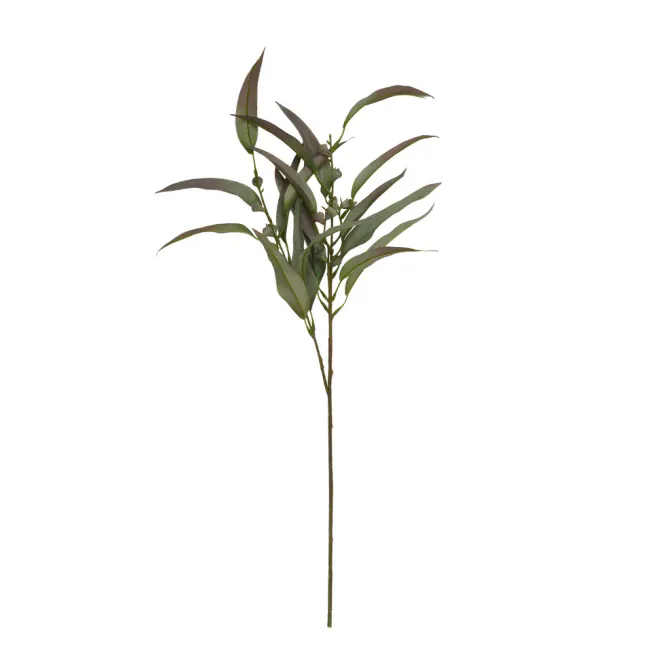 Hovedbilde Eukalyptus stilk 70cm - Plastik - Grønn