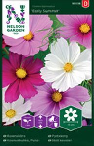 Hovedbilde Pyntekorg, Early Summer