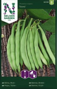 Hovedbilde B&oslash;nne, Brekk-, Saxa, lav