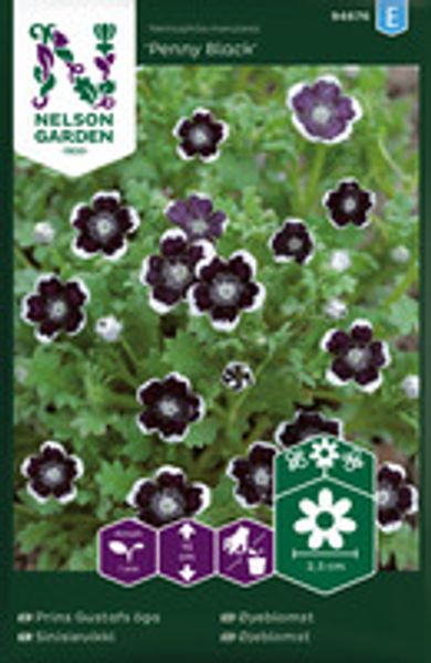 Øyeblomst, Penny Black