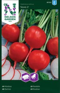 Hovedbilde Reddik, Saxa 2, Fr&oslash;b&aring;nd