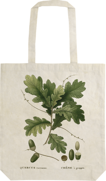 Handlenett- Eikenøtt