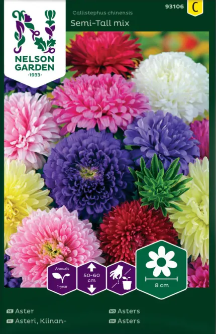 Hovedbilde Asters, Dobbeltblomstrende, bl. farger