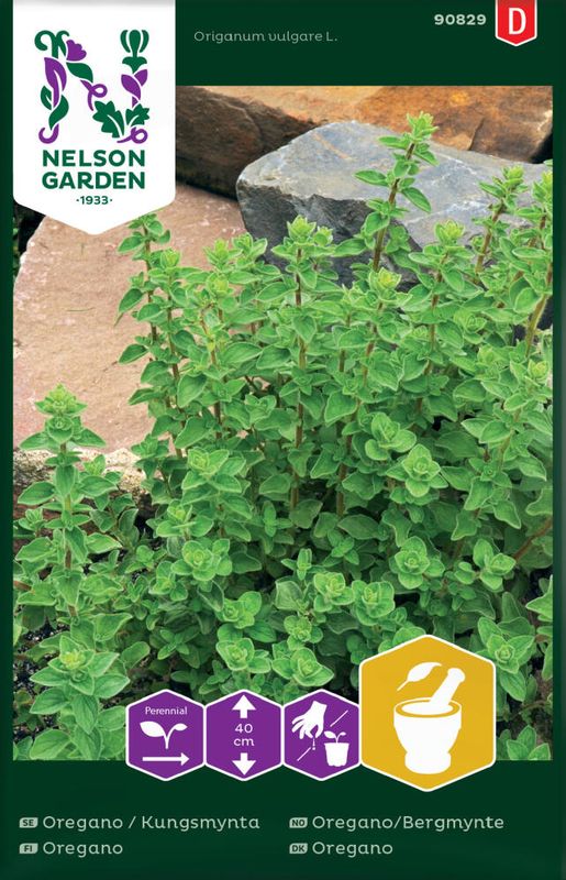 Oregano, Bergmynte